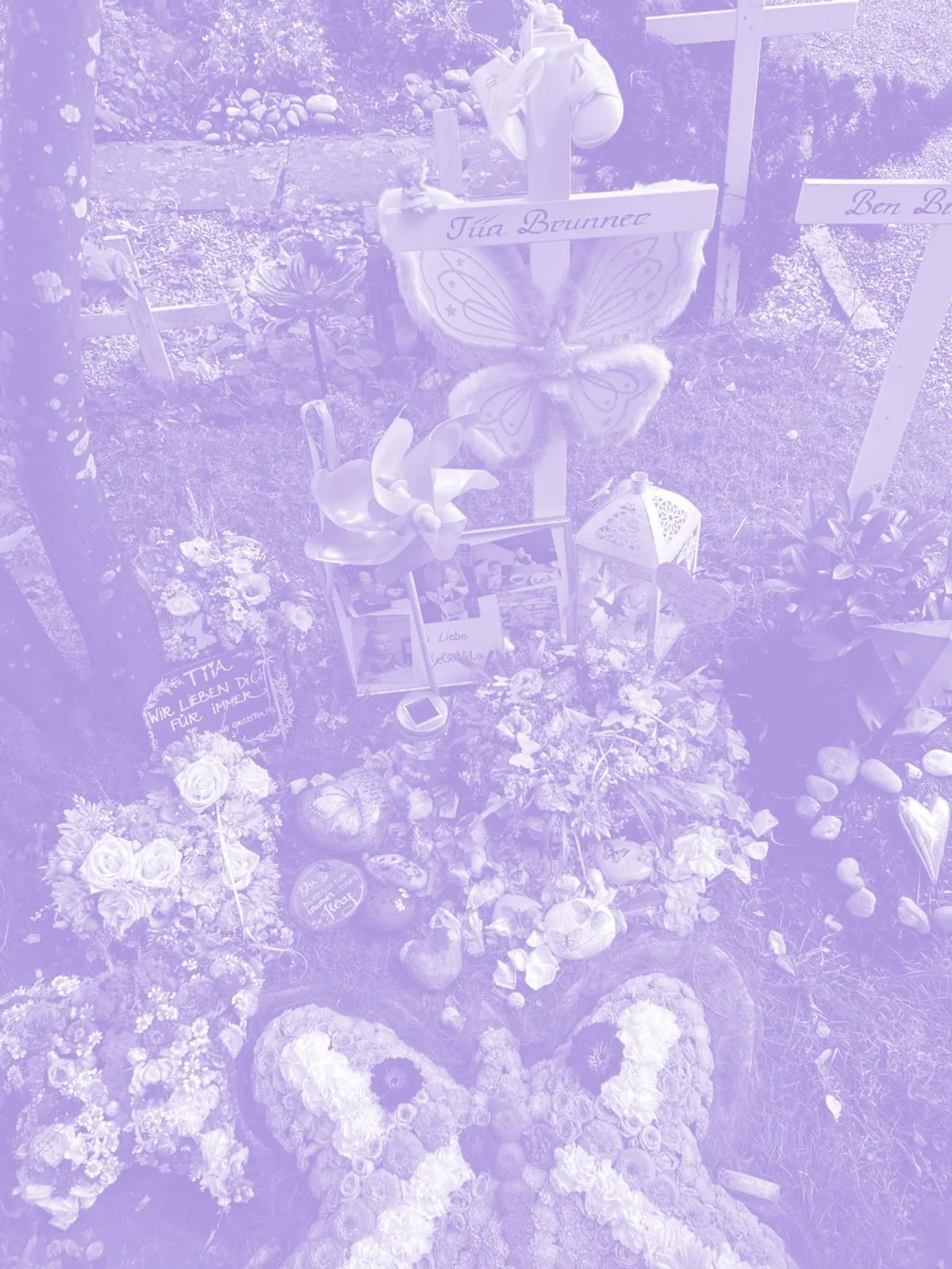 231103 1 231103 2 231103 3 Tiia Lila 01